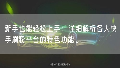 新手也能轻松上手：详细解析各大快手刷粉平台的特色功能。