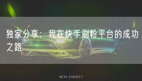 独家分享：我在快手刷粉平台的成功之路