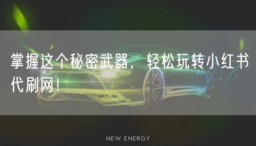 掌握这个秘密武器，轻松玩转小红书代刷网！