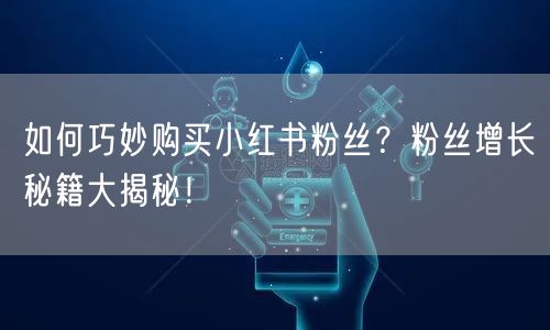 如何巧妙购买小红书粉丝？粉丝增长秘籍大揭秘！