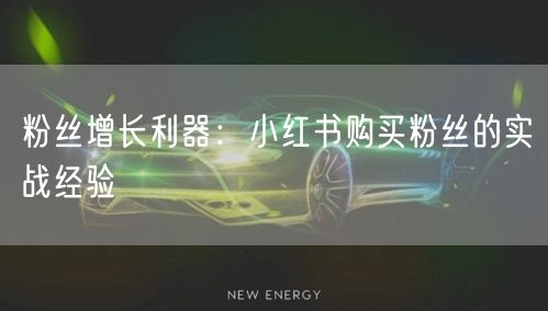 粉丝增长利器：小红书购买粉丝的实战经验