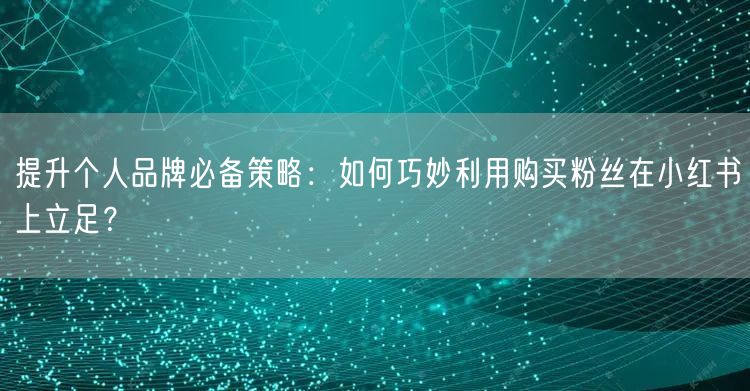 提升个人品牌必备策略：如何巧妙利用购买粉丝在小红书上立足？