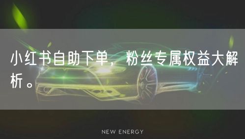 小红书自助下单，粉丝专属权益大解析。