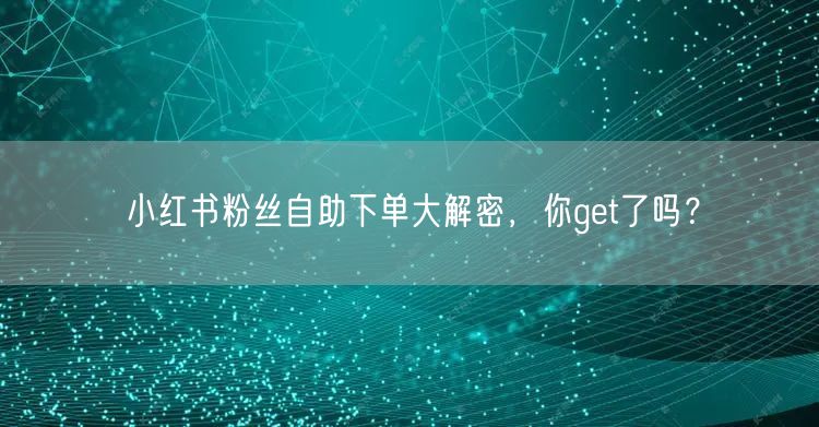 小红书粉丝自助下单大解密，你get了吗？