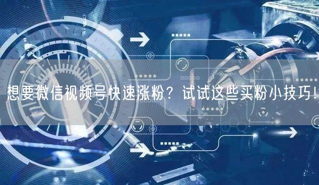 想要微信视频号快速涨粉？试试这些买粉小技巧！