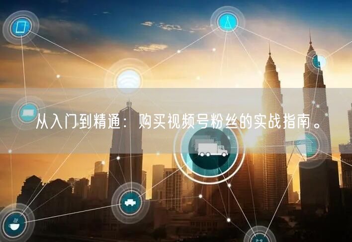 从入门到精通：购买视频号粉丝的实战指南。