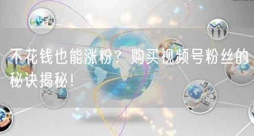 不花钱也能涨粉？购买视频号粉丝的秘诀揭秘！