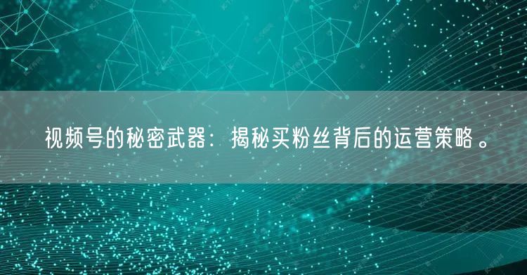 视频号的秘密武器：揭秘买粉丝背后的运营策略。