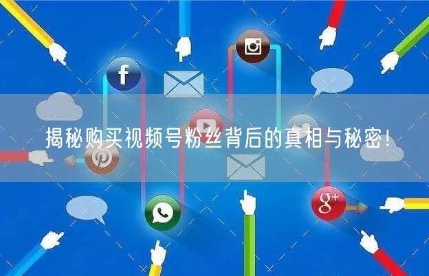 揭秘购买视频号粉丝背后的真相与秘密！