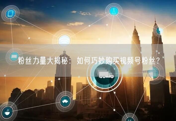 粉丝力量大揭秘：如何巧妙购买视频号粉丝？