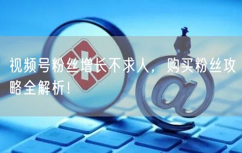 视频号粉丝增长不求人，购买粉丝攻略全解析！