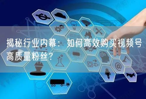 揭秘行业内幕：如何高效购买视频号高质量粉丝？