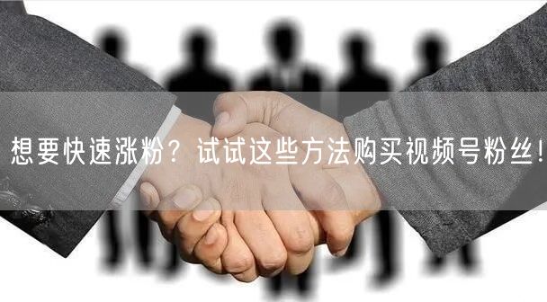 想要快速涨粉？试试这些方法购买视频号粉丝！