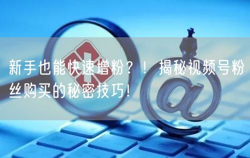 新手也能快速增粉？！揭秘视频号粉丝购买的秘密技巧！