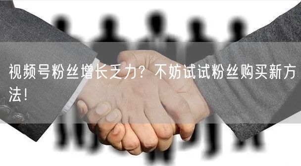 视频号粉丝增长乏力？不妨试试粉丝购买新方法！