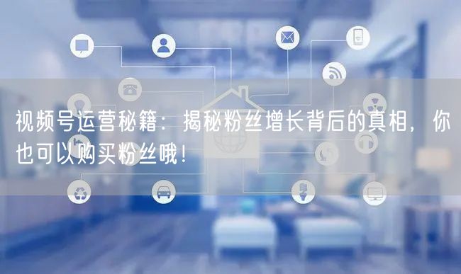 视频号运营秘籍：揭秘粉丝增长背后的真相，你也可以购买粉丝哦！