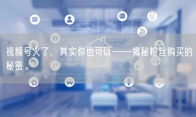 视频号火了，其实你也可以——揭秘粉丝购买的秘密。