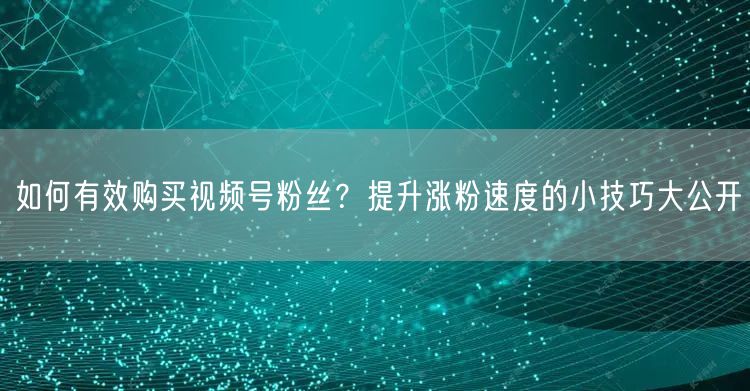 如何有效购买视频号粉丝？提升涨粉速度的小技巧大公开