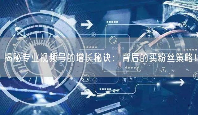 揭秘专业视频号的增长秘诀：背后的买粉丝策略！