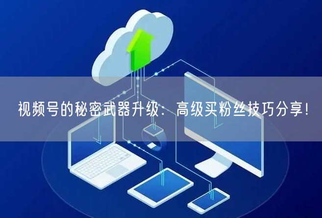 视频号的秘密武器升级：高级买粉丝技巧分享！