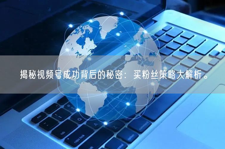 揭秘视频号成功背后的秘密：买粉丝策略大解析。