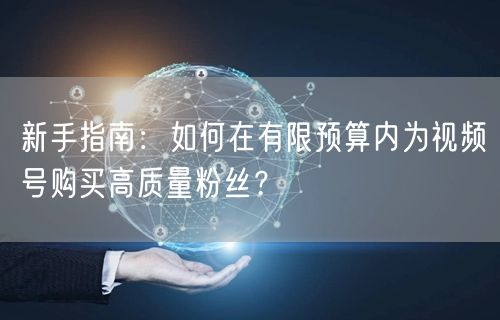 新手指南：如何在有限预算内为视频号购买高质量粉丝？