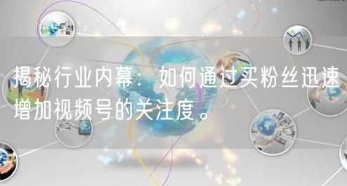 揭秘行业内幕：如何通过买粉丝迅速增加视频号的关注度。