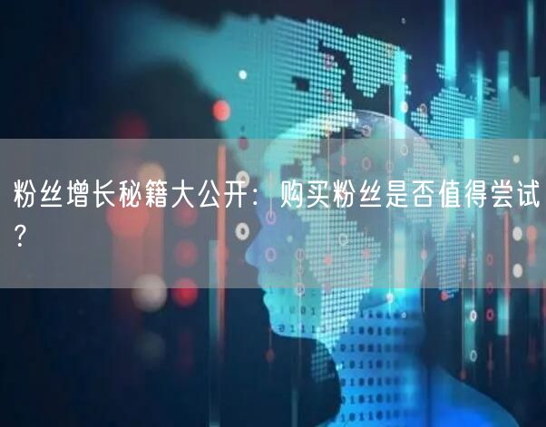粉丝增长秘籍大公开：购买粉丝是否值得尝试？