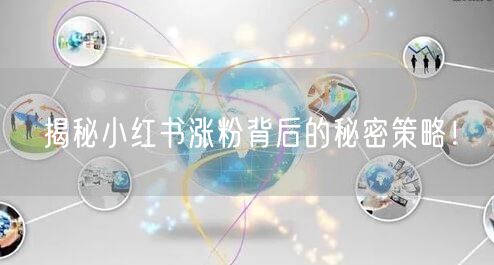 揭秘小红书涨粉背后的秘密策略！