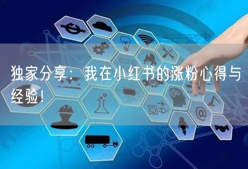 独家分享：我在小红书的涨粉心得与经验！