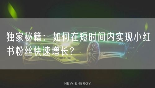 独家秘籍：如何在短时间内实现小红书粉丝快速增长？