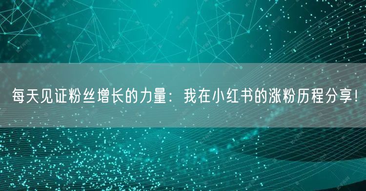 每天见证粉丝增长的力量：我在小红书的涨粉历程分享！