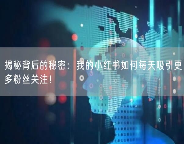 揭秘背后的秘密：我的小红书如何每天吸引更多粉丝关注！
