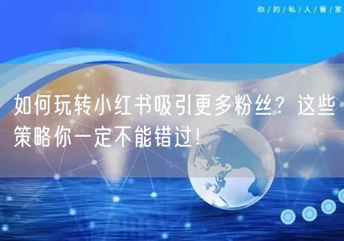 如何玩转小红书吸引更多粉丝？这些策略你一定不能错过！