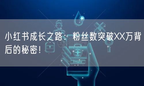 小红书成长之路：粉丝数突破XX万背后的秘密！