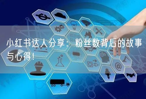 小红书达人分享：粉丝数背后的故事与心得！