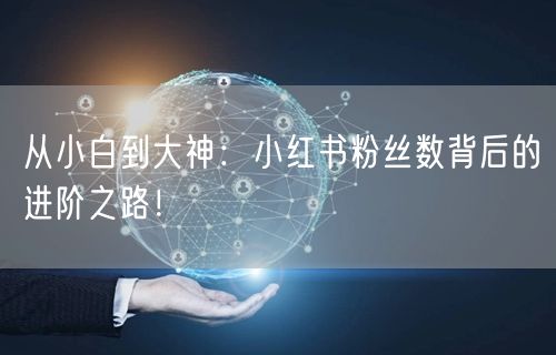 从小白到大神：小红书粉丝数背后的进阶之路！