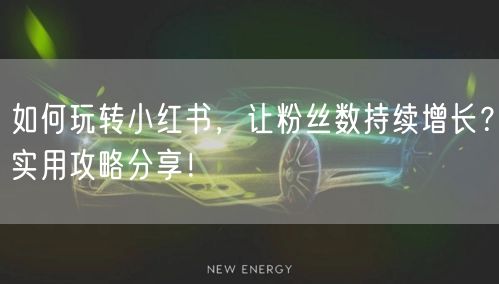 如何玩转小红书，让粉丝数持续增长？实用攻略分享！