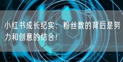 小红书成长纪实：粉丝数的背后是努力和创意的结合！