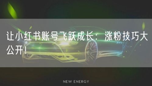 让小红书账号飞跃成长：涨粉技巧大公开！