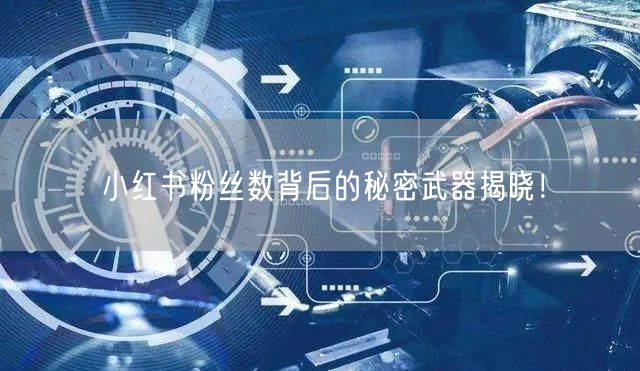 小红书粉丝数背后的秘密武器揭晓！