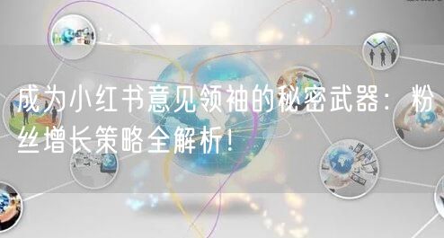 成为小红书意见领袖的秘密武器：粉丝增长策略全解析！