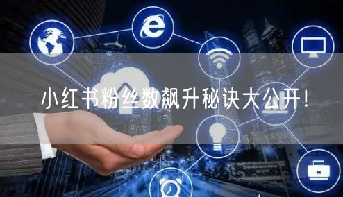 小红书粉丝数飙升秘诀大公开！