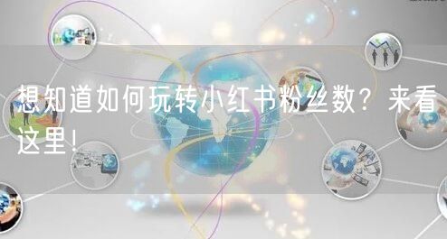 想知道如何玩转小红书粉丝数？来看这里！