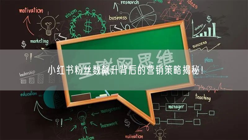 小红书粉丝数飙升背后的营销策略揭秘！