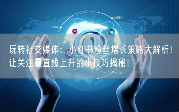 玩转社交媒体：小红书粉丝增长策略大解析！让关注量直线上升的小技巧揭秘！