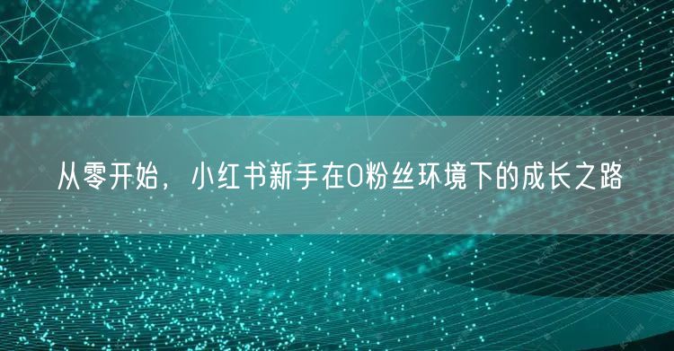 从零开始，小红书新手在0粉丝环境下的成长之路