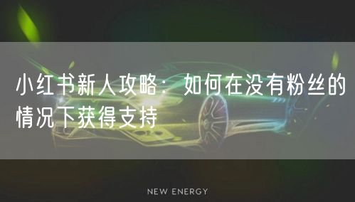 小红书新人攻略：如何在没有粉丝的情况下获得支持
