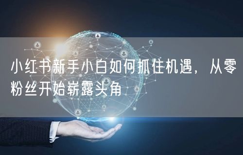 小红书新手小白如何抓住机遇，从零粉丝开始崭露头角