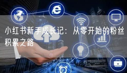 小红书新手成长记：从零开始的粉丝积累之路